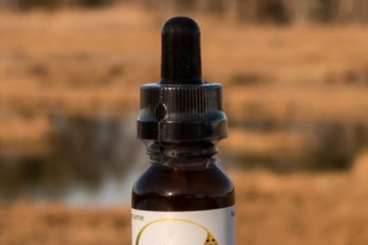 The Best CBD Products In Toms River